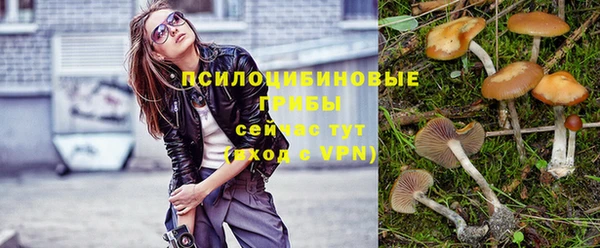 ALPHA-PVP Алексин