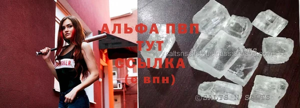 прущие грибы Сатка