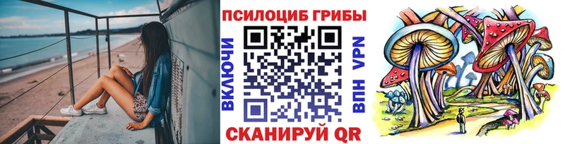 Галлюциногенные грибы мухоморы  закладки  Алексин 