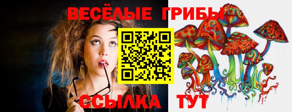 Алексин  Псилоцибиновые грибы Magic Shrooms  наркошоп  Вход с VPN  Псилоцибиновые грибы Magic Shrooms 